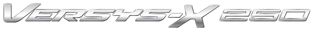 VERSYS-X 250 branding